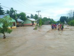 4 Desa di Malaka Dilanda Banjir Akibat Hujan Deras, Warga Minta Bupati Bangun Tanggul